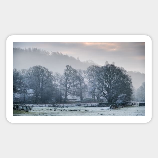 Elterwater Woodland Frost Sticker by jldunbar